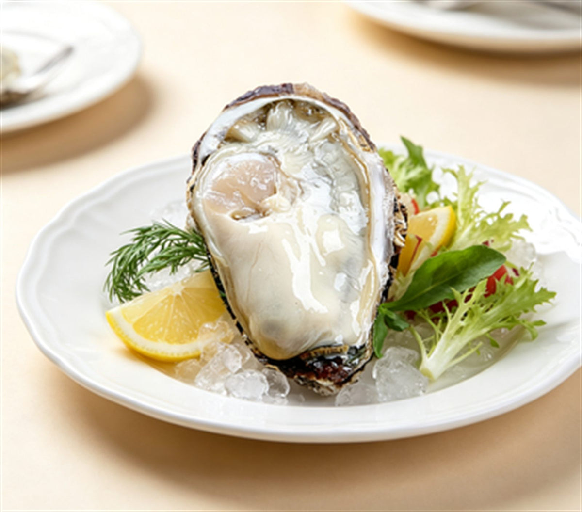 Fresh Oysters, Cold Water Premium Grade
