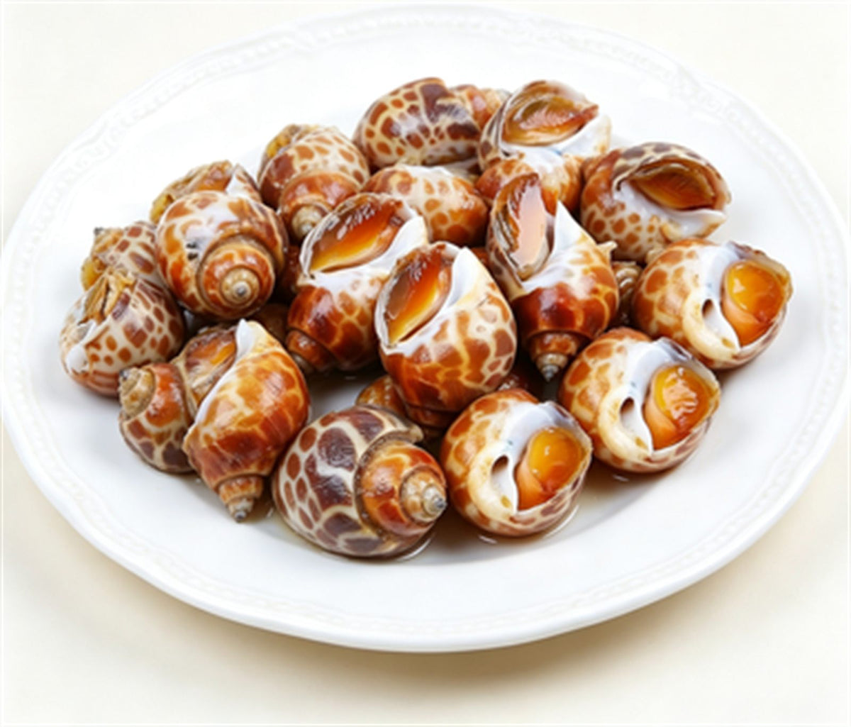 Fresh Conch Meat, Premium Sea Snail Grade